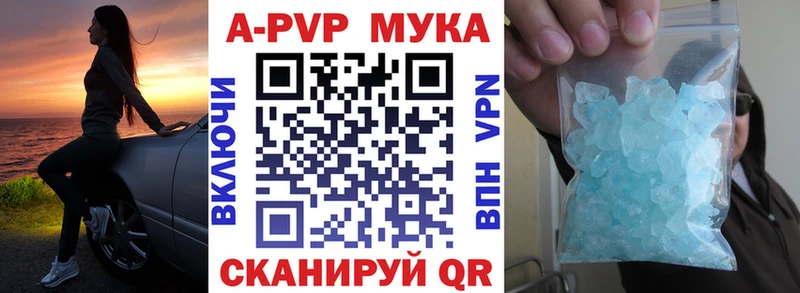 A PVP крисы CK  цена   МЕГА вход  Заринск 