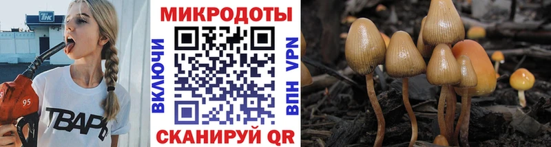 Псилоцибиновые грибы прущие грибы  Заринск 